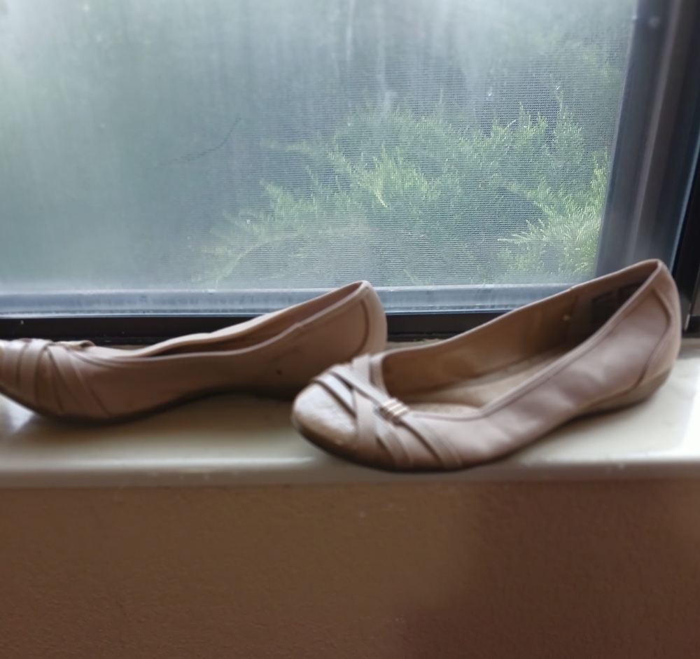 Tan Time and Tru Ballet size 11